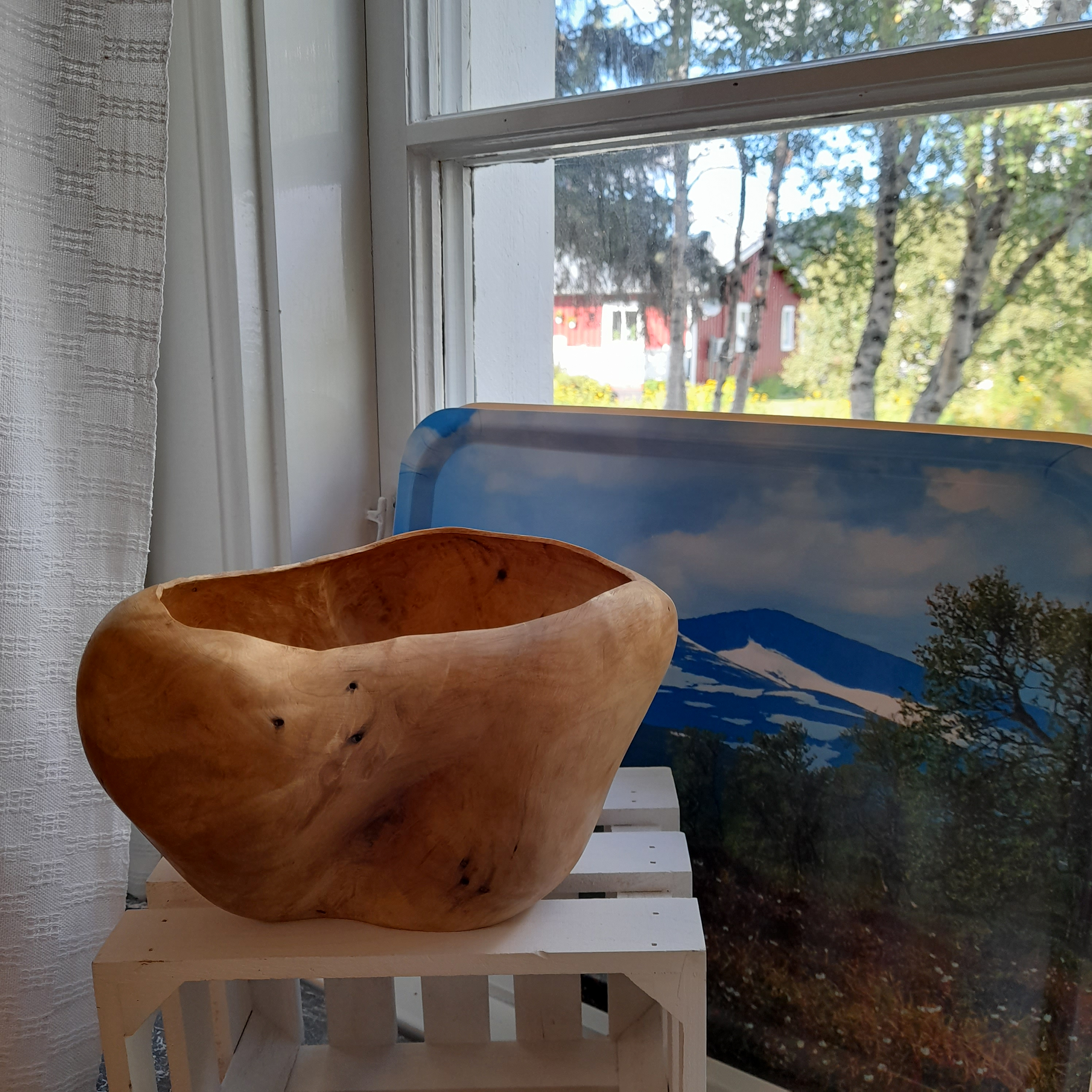 Träskål